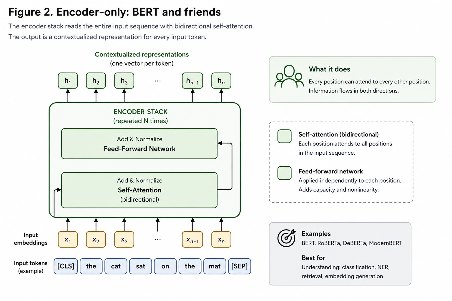 Encoder-only transformer architecture